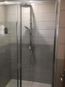 a shower with a glass door in a bathroom at Malé útulné studio s koupelnou a kuchyňkou in Svinařov