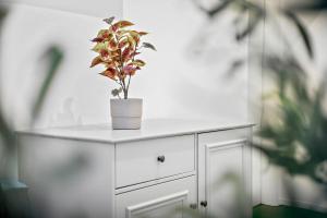 Gallery image of LUXOMES - New Central Design Studio - Kitchen - Parking in Ingolstadt