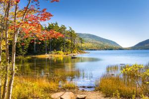 a view of a lake in the fall at Stars and Stripes Forever in Southwest Harbor