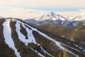 une vue aérienne sur une montagne enneigée avec des arbres dans l'établissement Hop Inn At Antlers Gulch, à Keystone
