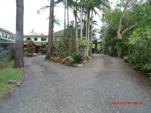 a driveway in front of a house with palm trees at Emerald Tropical Palms B & B in Emerald Beach