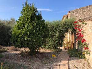 a tree in front of a building with flowers at Finca es Rafal, Agroturisme in Montuiri