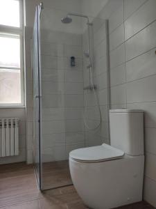 Kúpeľňa v ubytovaní Konzul -Top apartment, strict center, parking