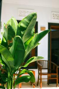 Fotografie z fotogalerie ubytování Adi Guest House v destinaci Canggu