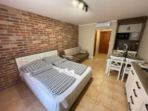 Kuchyňa alebo kuchynka v ubytovaní Dalma Apartment