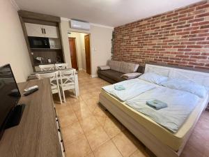 Kuchyňa alebo kuchynka v ubytovaní Dalma Apartment