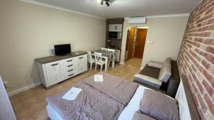 Televízia a/alebo spoločenská miestnosť v ubytovaní Dalma Apartment