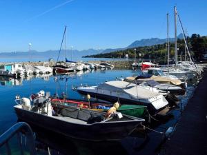 Gallery image of Entre Alpes et Léman in Publier