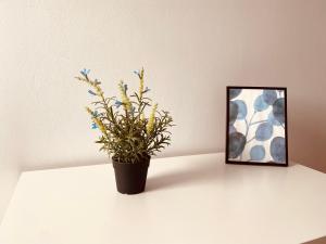 Fotografie z fotogalerie ubytování Pokoje Gajowa v destinaci Lublin