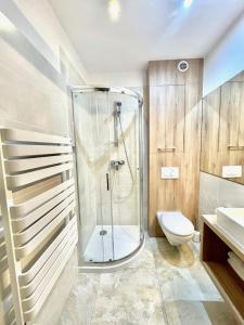 a bathroom with a shower and a toilet and a sink at Marina Marcin Król in Jastarnia