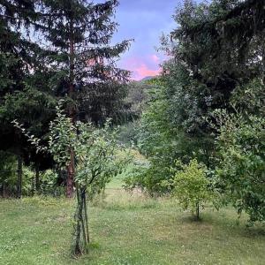 Příroda nedaleko apartmánu