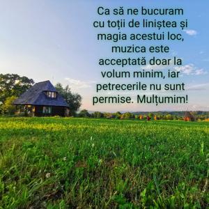 Gallery image of Complex Tradițional Casa din Vale Breb in Breb