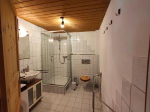 ein Badezimmer mit Dusche, Toilette und Waschbecken in der Unterkunft Gemütliche Ferienwohnung mit Kamin und Garten in Garmisch-Partenkirchen