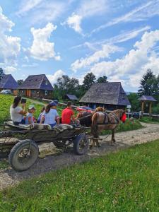 a group of people sitting on a horse drawn cart at Complex Tradițional Casa din Vale Breb in Breb