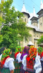 Gallery image of Complex Tradițional Casa din Vale Breb in Breb