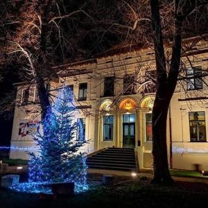蔡茨的住宿－Villa Prestige，建筑前的蓝圣诞树