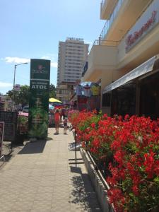 a sidewalk with red flowers in front of a building at Hotel Atol in Sunny Beach