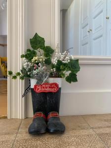 a potted plant in a pair of shoes next to a door at Forst-Ház Apartman in Eger