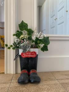 Fotografia z galérie ubytovania Forst-Ház Apartman v destinácii Eger