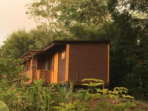 a small wooden cabin in the middle of a forest at Bella Vista Ranch Ecolodge in Turrialba