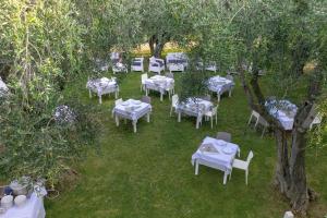 A garden outside Ferienwohnung ulivo mit Pool und Privatstrand