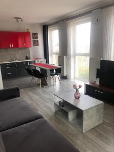 Kuchyňa alebo kuchynka v ubytovaní Apartament Metropolia typu deluxe, free WiFi, FV + 21 fotografií