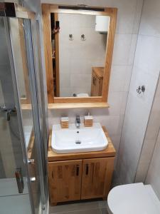 Un baño con lavabo, espejo e inodoro. en Olimpijska Kuća Jahorina, en Jahorina 29 fotos más