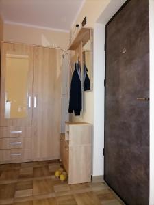 a dressing room with a closet and a door at Apartament NyX in Floreşti