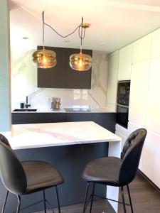 Kuchyň nebo kuchyňský kout v ubytování Emérita Luxury Home