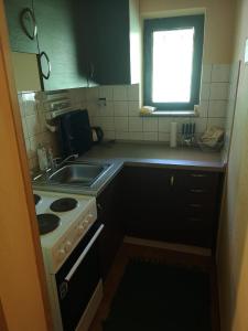 eine Küche mit einem Herd, einem Waschbecken und einem Fenster in der Unterkunft M&M Chata Kokava Línia in Å oltÃ½ska