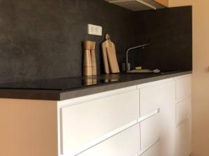 Kuchyň nebo kuchyňský kout v ubytování Apartmán Borůvka