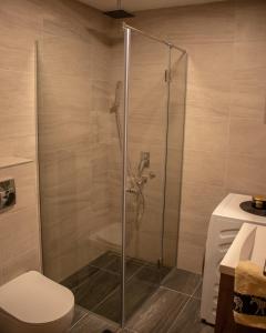 Ένα μπάνιο στο Zlatibor MM Apartmani +22 φωτογραφίες