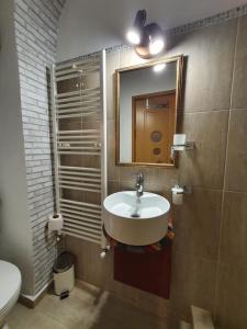 Chic Studio Brasov tesisinde bir banyo