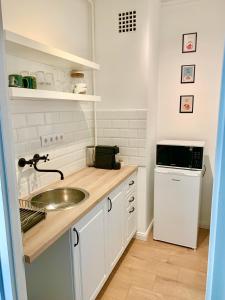 肖普朗的住宿－Fidelissima Apartman，一间带水槽和微波炉的小厨房