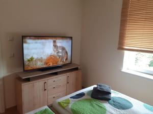 a bedroom with a flat screen tv on a dresser at Rietschen, Natur erleben in Rietschen