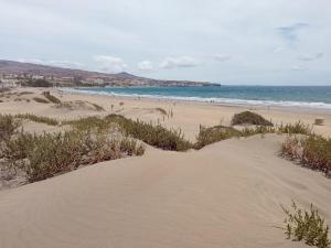 Zdjęcie z galerii obiektu El nido de las arpias w mieście Maspalomas +37 zdjęć