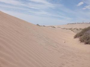 Zdjęcie z galerii obiektu El nido de las arpias w mieście Maspalomas