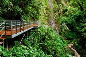 a man standing on a bridge in the jungle at Valle Escondido Nature Reserve Hotel & Farm in Monteverde Costa Rica