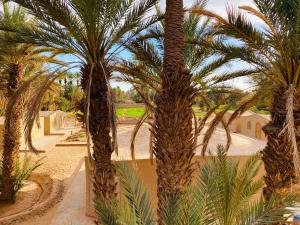 Gallery image of Camp Auberge Sahara Marokko in Mhamid