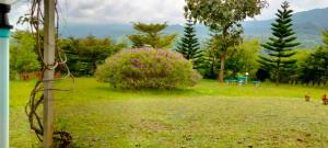 Vonkajšia záhrada v ubytovaní Janthawat Khaokho Resort