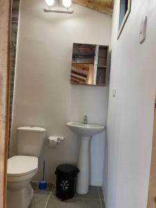 uma casa de banho com um WC e um lavatório em La Leopolda em Guatavita