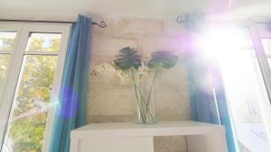 a vase of flowers sitting on a shelf next to a window at Charmant studio 25 m2 centre ville Avignon in Avignon +10 photos