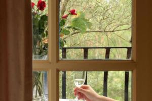 a person holding a wine glass in front of a window at Chez Vous Split Level Balcony Spa Villa! in Pokolbin