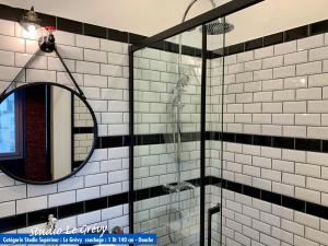 a bathroom with a shower with a mirror at Nos studios au centre ville à Dole in Dole