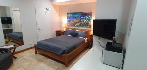 TV a/nebo společenská místnost v ubytování Samson Beach Chalets