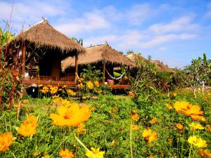 Villa De Pai في باي: كوخ عشبي مع حقل من الزهور