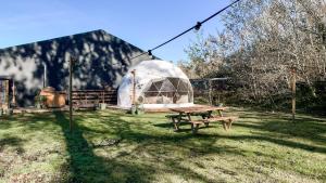 Gallery image of Romantische glamping dome Koksijde - Duiniek in Koksijde