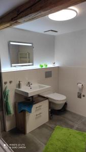 ein Badezimmer mit Waschbecken, Toilette und Spiegel in der Unterkunft FEWO am Wetzstein in Wernigerode + 8 Fotos