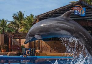 Foto de la galería de Bayside Hotel 116 West Street en Durban