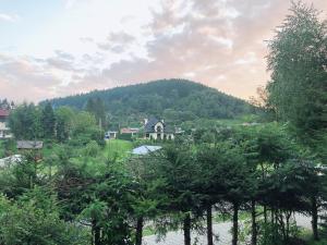 vista su un villaggio con una montagna sullo sfondo di Apartament Familia a Ustrzyki Dolne